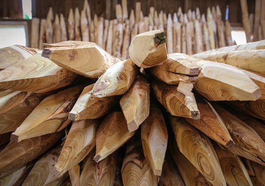 Piquet en bois de châtaigniers et d'acacias