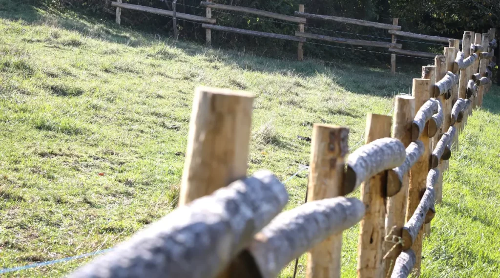 Clôture en piquets bois