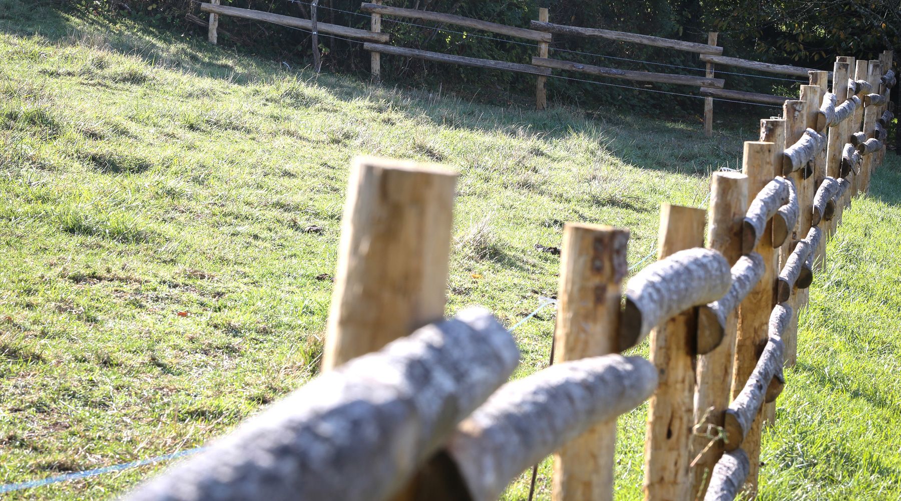 Wooden fence stake