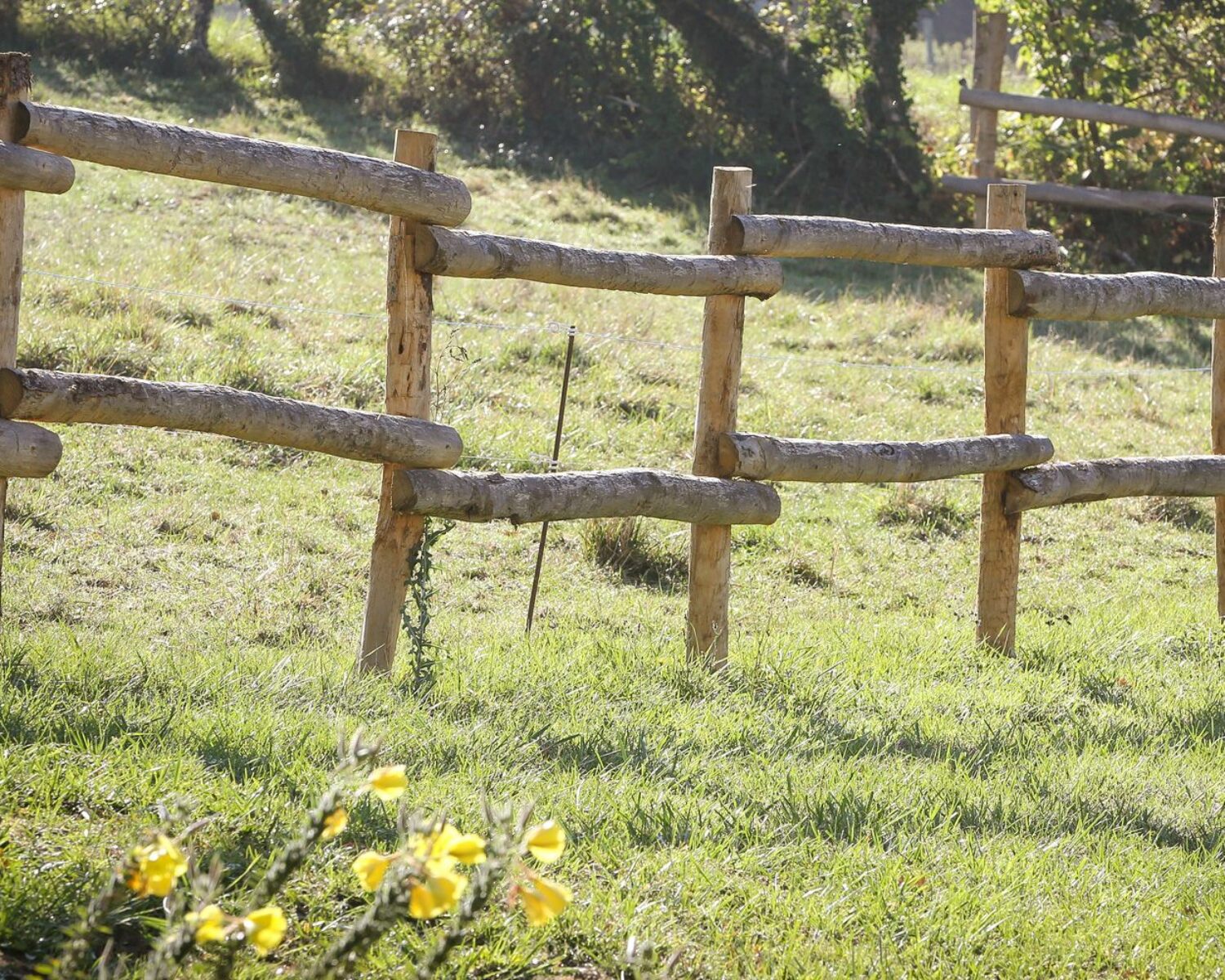 Clôture en piquets bois