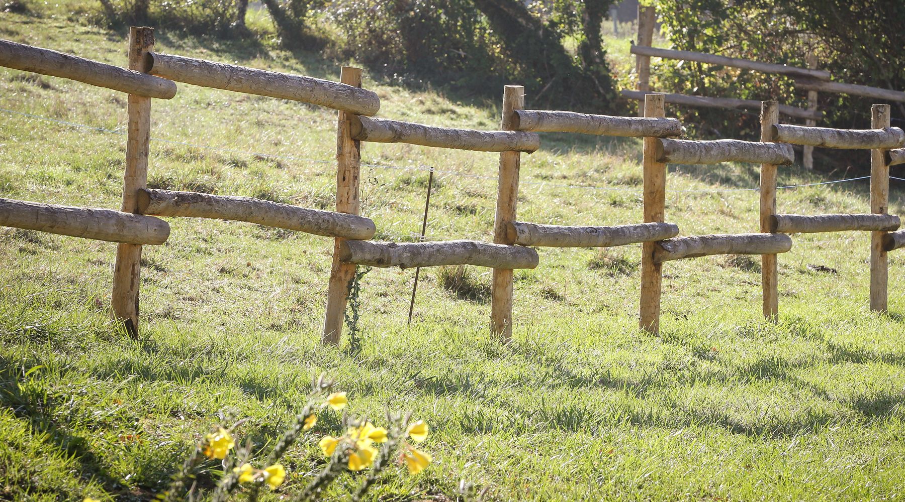 Wooden fence stake
