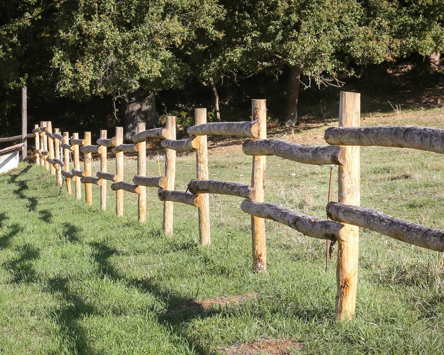 Clôture en piquets bois
