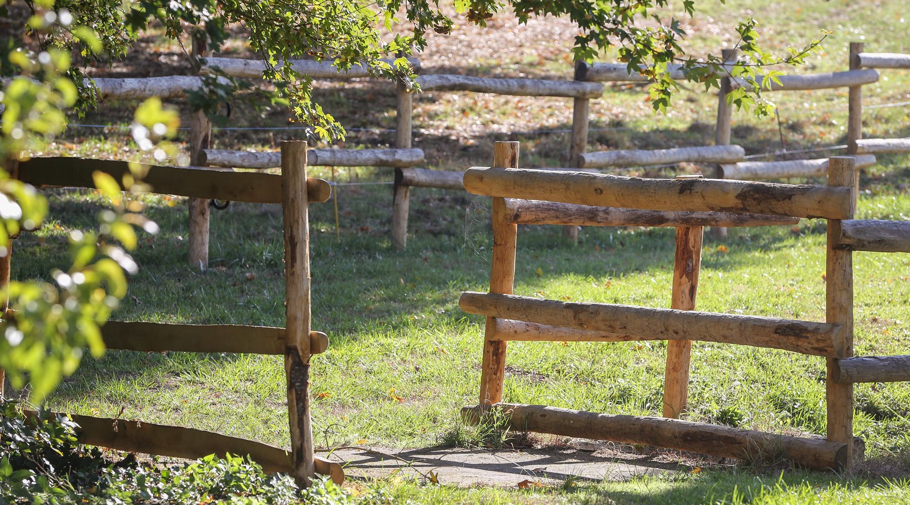 Wooden fence stake