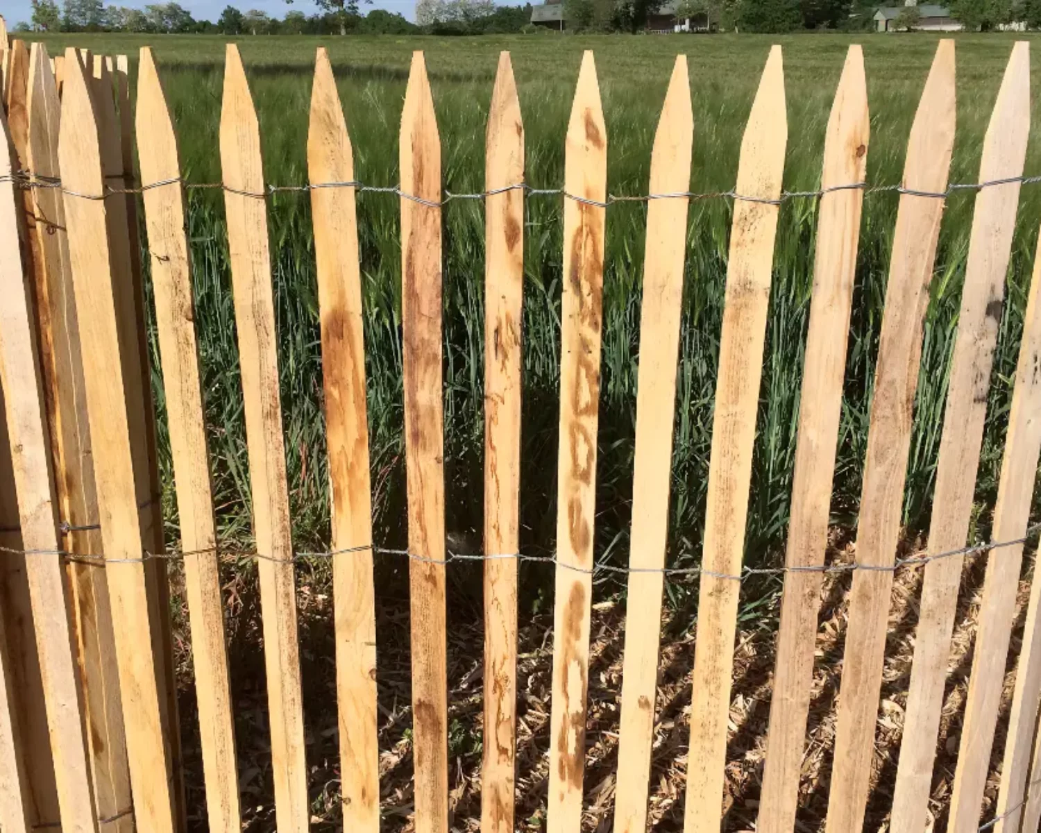 Treillage en bois