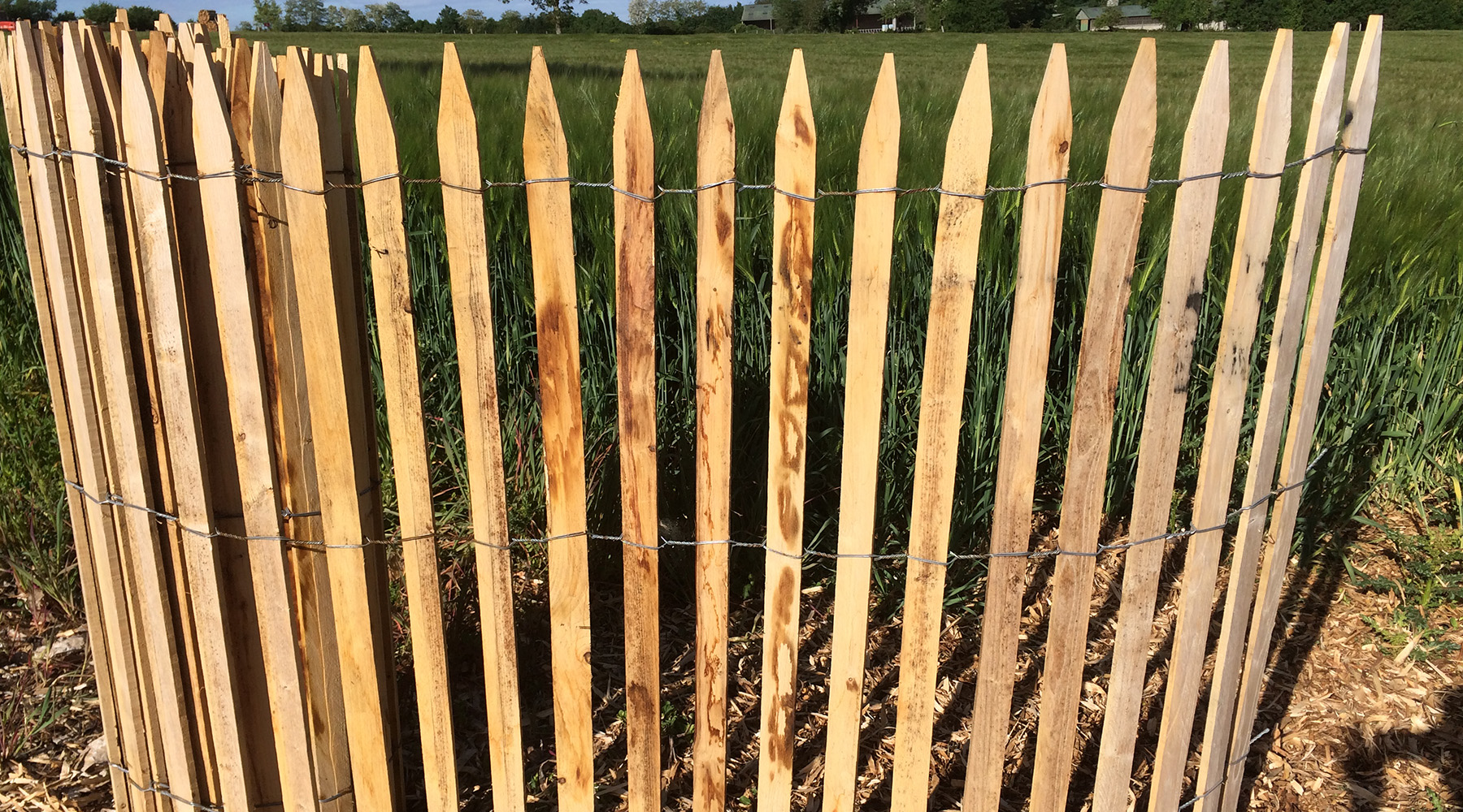 Wooden Fence Trellis
