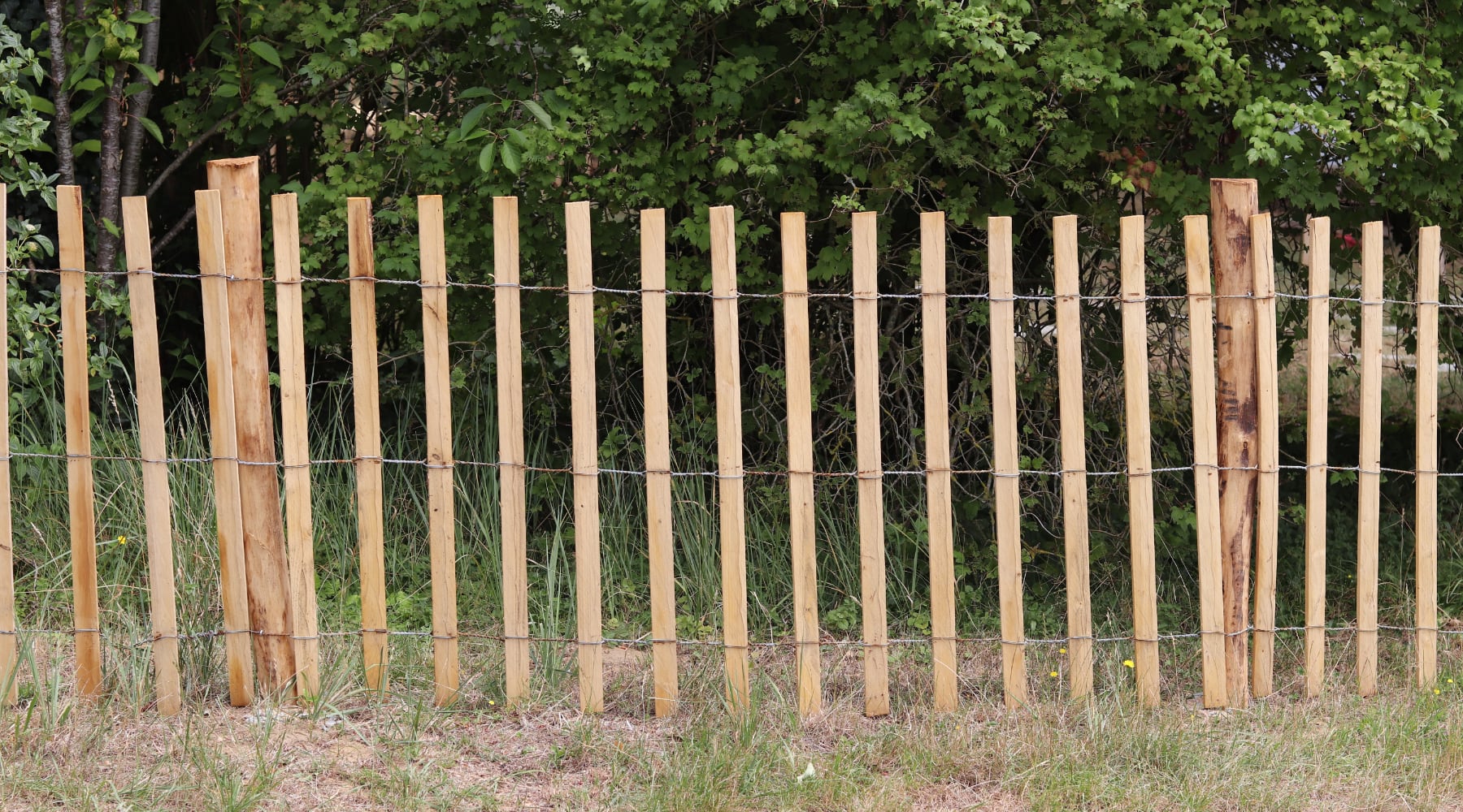 Fence Trellis – flat wood laths