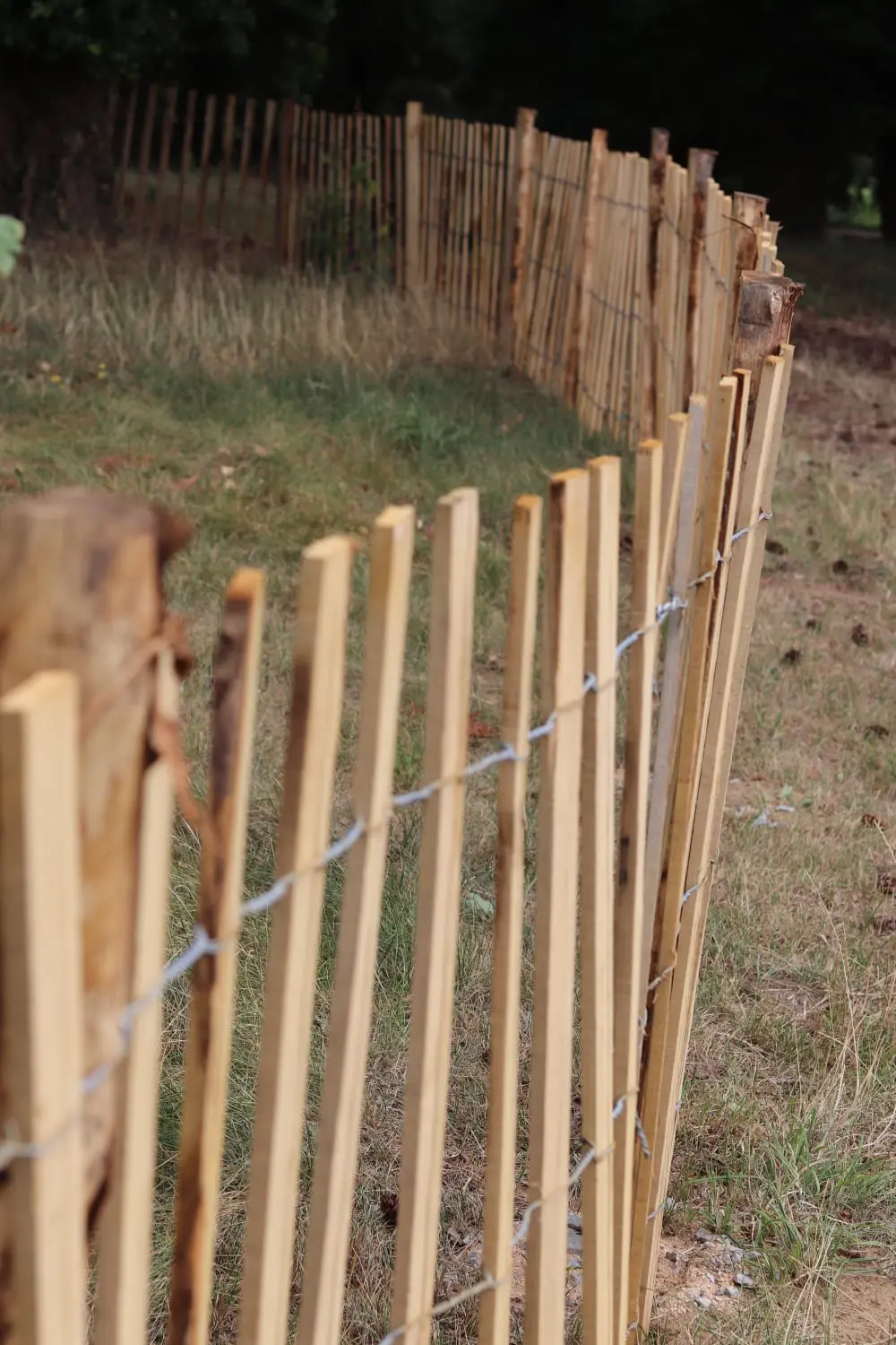 Fence Trellis – flat wood laths
