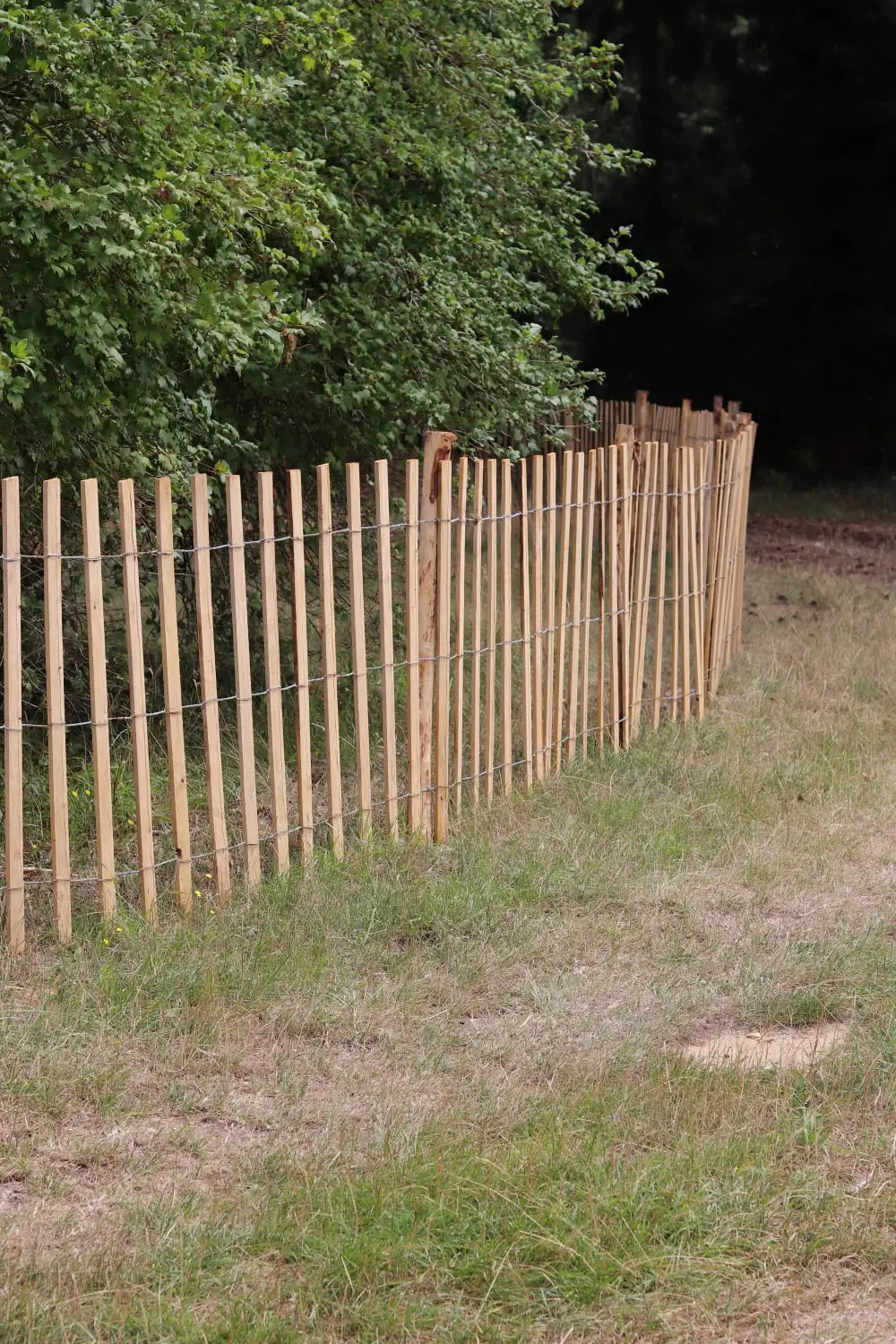 Fence Trellis – flat wood laths