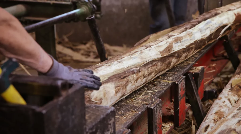 Fabrication de treillages et piquets en châtaigniers et acacias