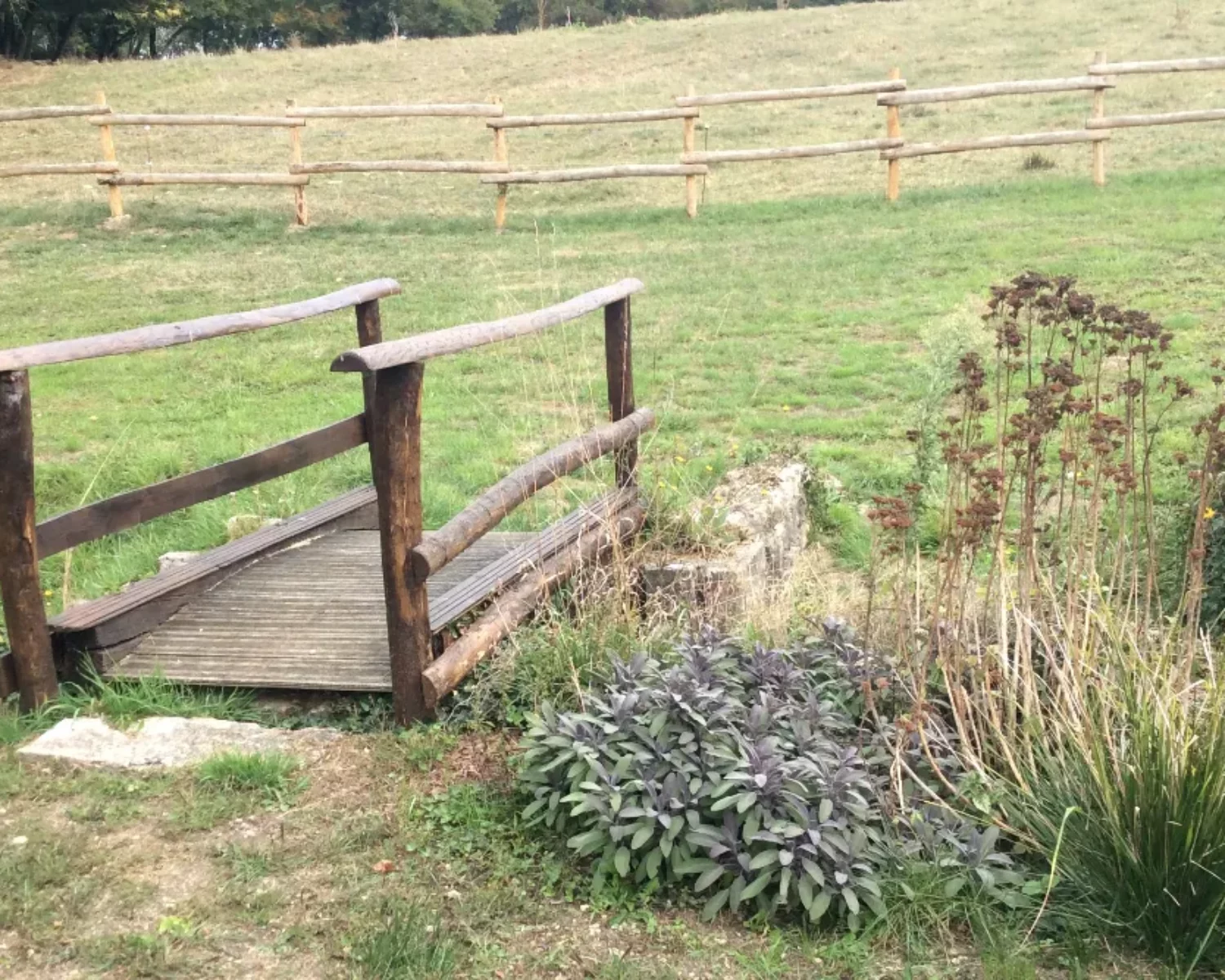 Pont en bois aménagement paysager