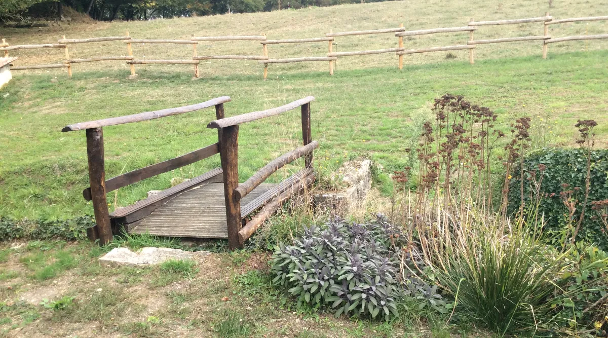 Pont en bois