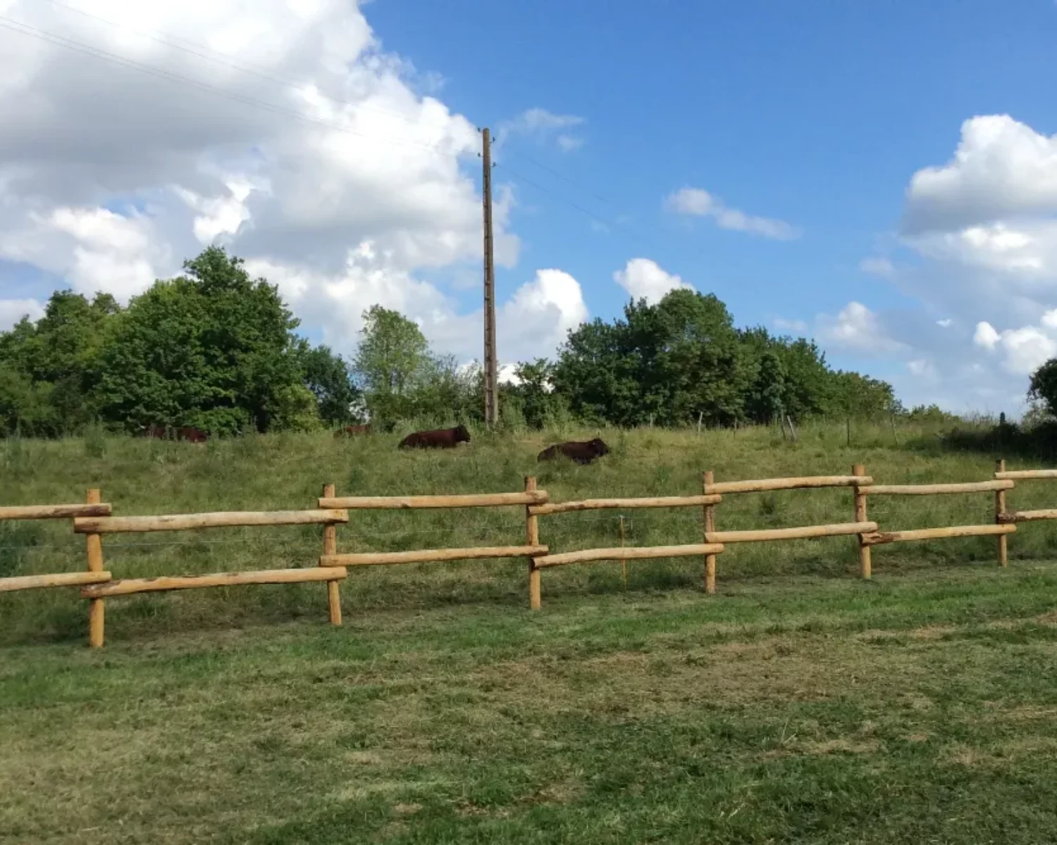 Wooden fence stake