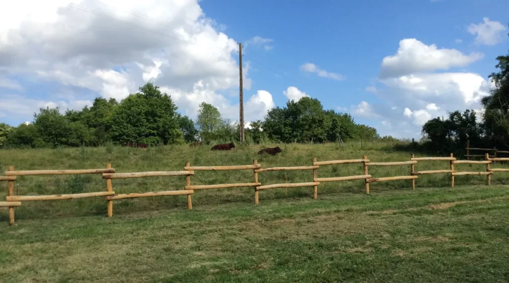 Piquets de clôture en bois de châtaignier, possible en acacia