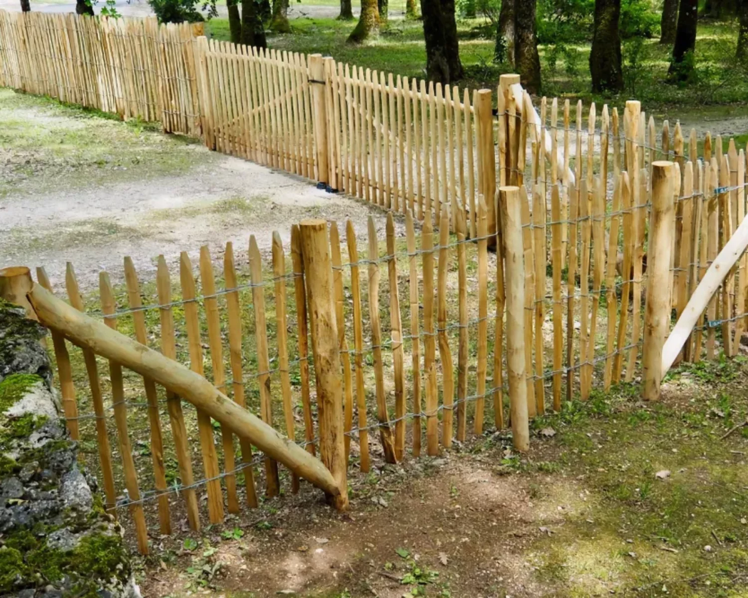 Fence Trellis - cleft poles