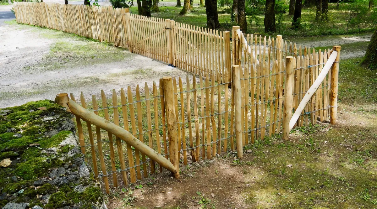 Fence Trellis – cleft poles