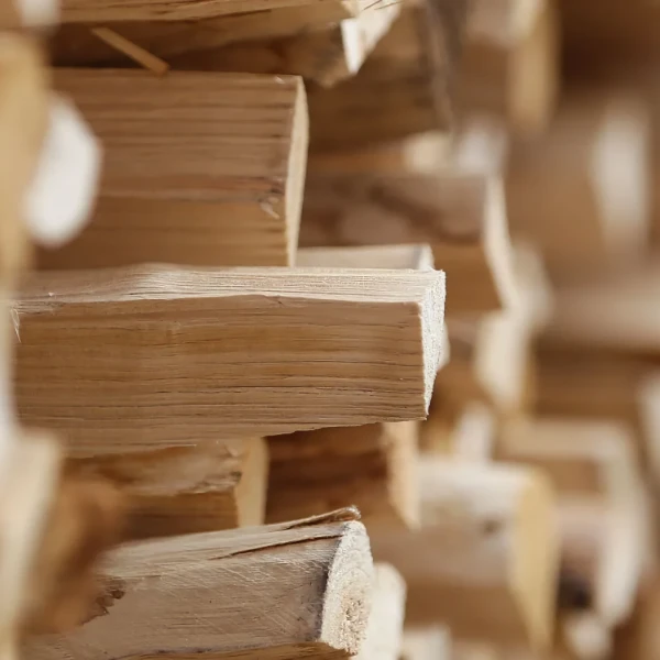 Piquets de châtaigners pour installation de ganivelles