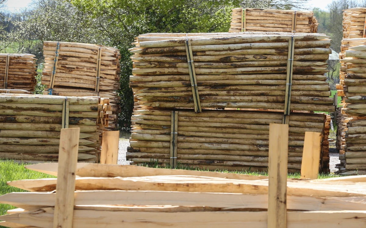 Piquets en bois fendus