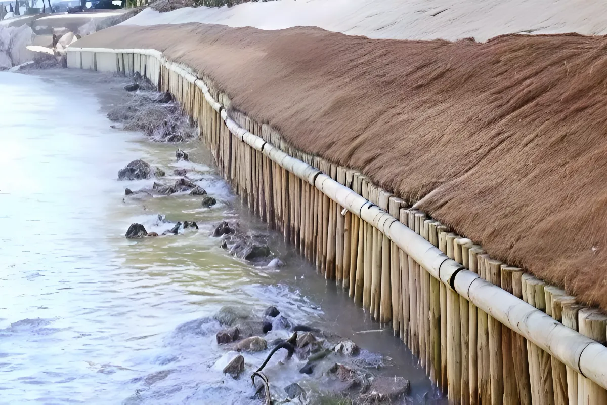 Piquets en bois pour les pontons et les berges