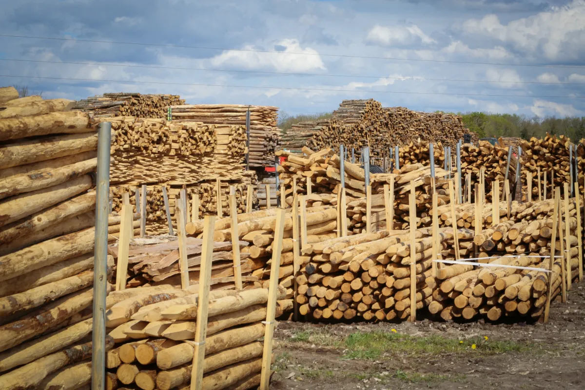Piquets en bois